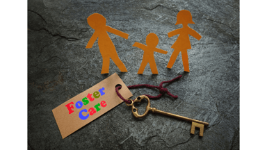 How to Become a Foster Parent VFFA Blog